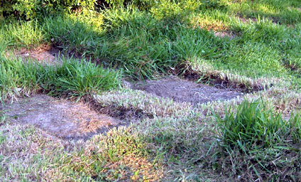 Location of concrete cornice blocks in the grass.