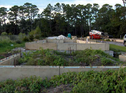 Weeds in the foundation area of Gulf Front house.
