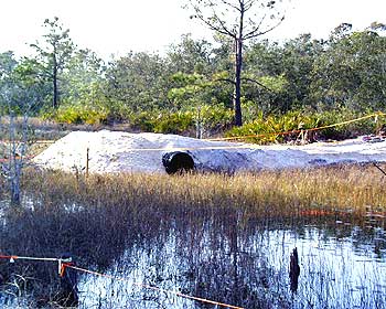 Driveway and drainage for lowlands in coastal Alabama