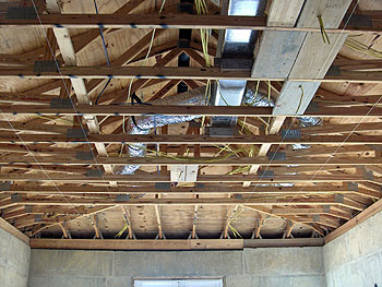 roof trusses and coffered ceilingl ayout