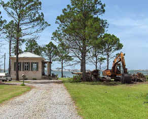 Tree removal for foundation